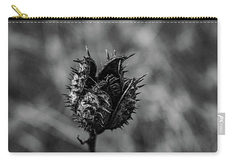 Art Zip Pouch featuring the photograph Black Seed Pod by Louis Dallara