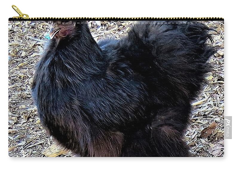 Black Chickens Zip Pouch featuring the photograph Black Silkie Bantam by Linda Stern