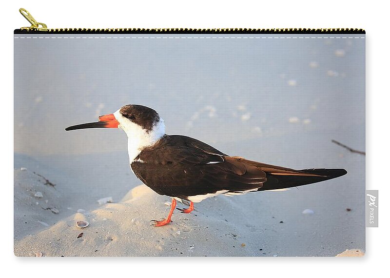 Black Skimmers Carry-all Pouch featuring the photograph Black Skimmer by Mingming Jiang