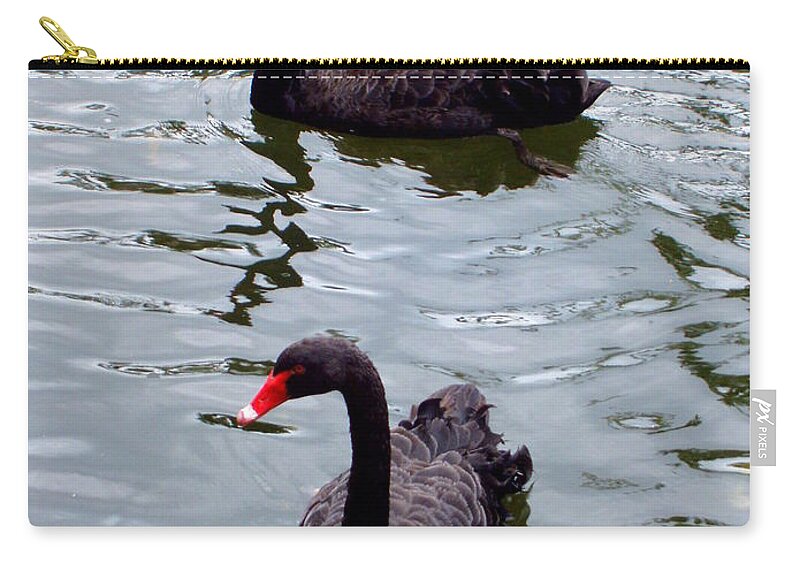 Swans Zip Pouch featuring the photograph Black Swans by Deborah Crew-Johnson