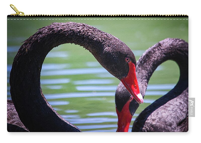 Bird Zip Pouch featuring the photograph Black Swans by Rene Vasquez