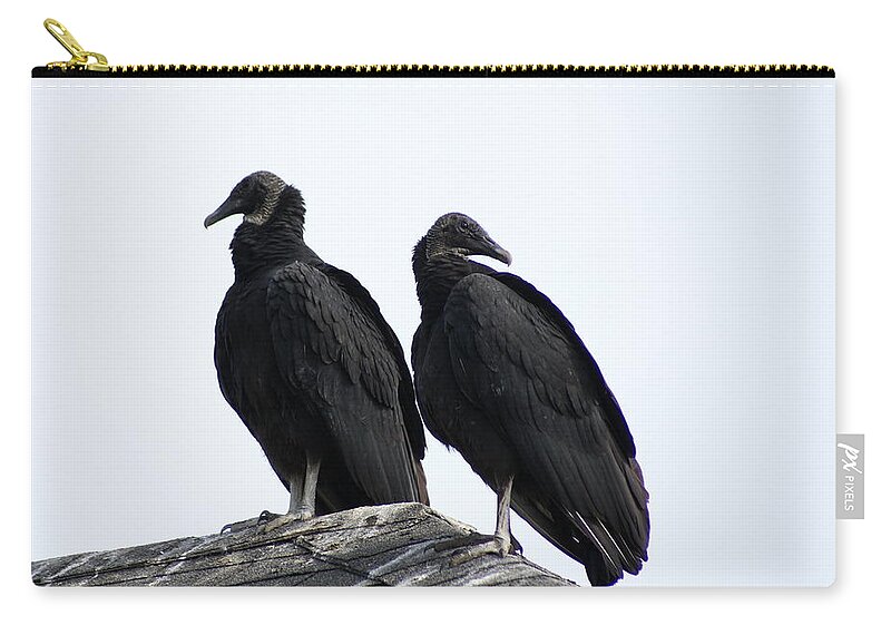  Carry-all Pouch featuring the photograph Black Vultures by Heather E Harman