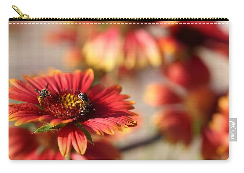Blanket Flowers Carry-all Pouch featuring the photograph Blanket Flowers by Mingming Jiang
