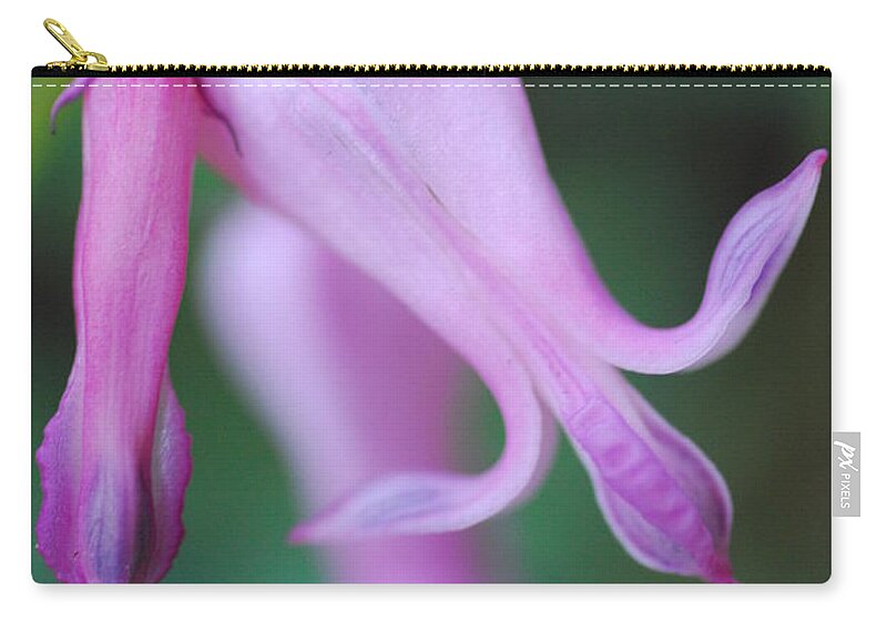 Macrophotography Carry-all Pouch featuring the photograph Bleeding Heart 1 by Stephanie Gambini