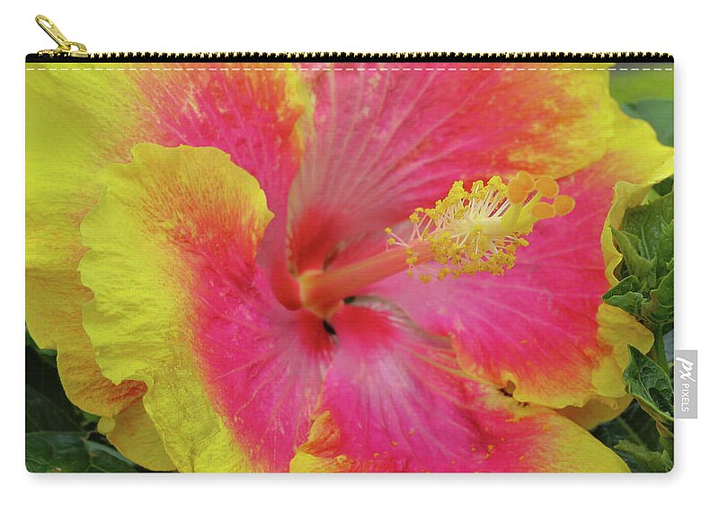 Hibiscus Zip Pouch featuring the photograph Bleeding Pink by Tony Spencer
