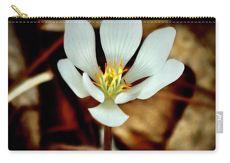 Bloodroot Carry-all Pouch featuring the photograph Bloodroot by Sarah Lilja