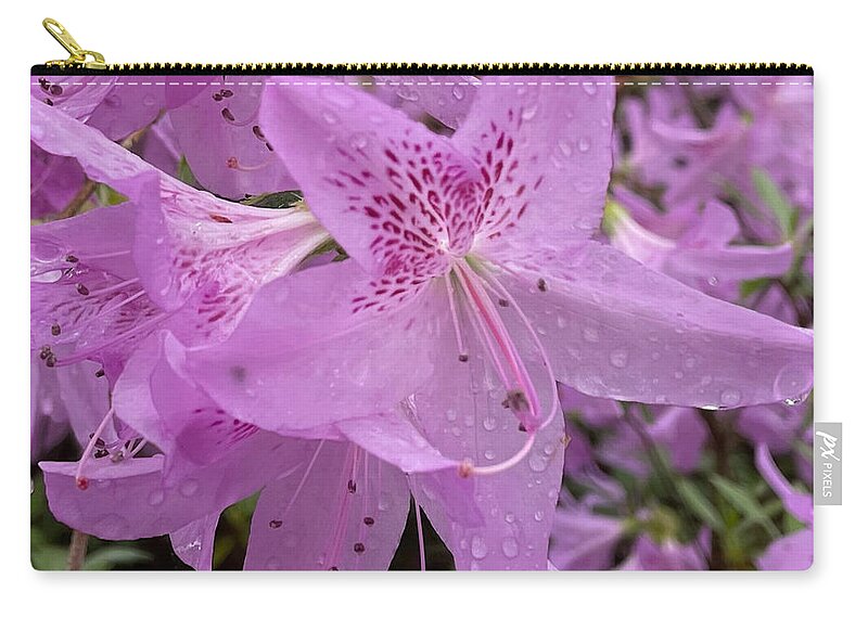 Petal Zip Pouch featuring the photograph Bloom in Detail by Lee Darnell