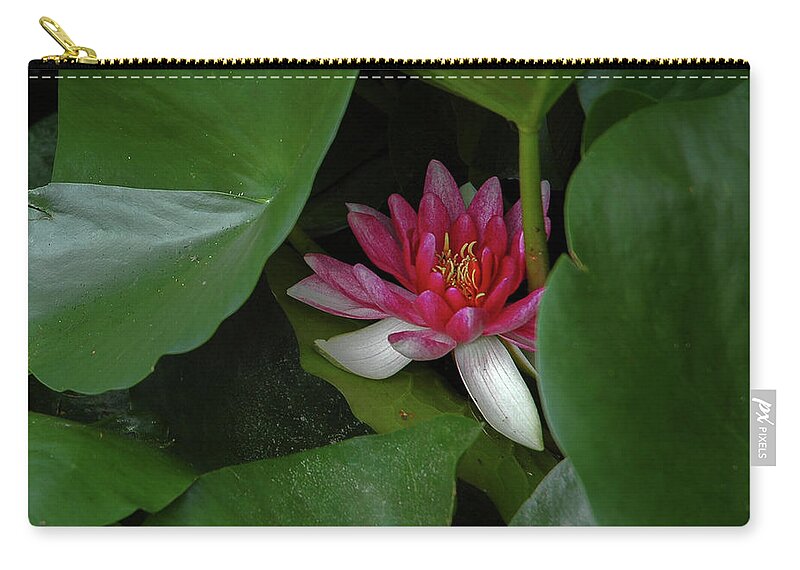Floral Zip Pouch featuring the photograph Blooming Water Lily by Mary Lee Dereske