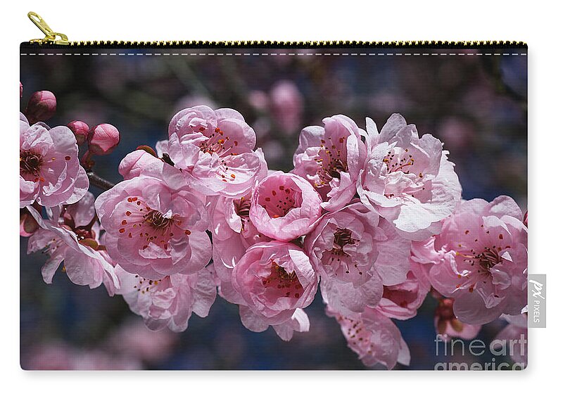 Blossom Zip Pouch featuring the photograph Blossom Loving Spring by Joy Watson
