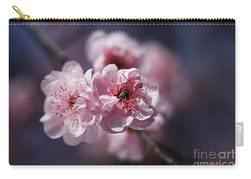 Blossom Pinks Zip Pouch featuring the photograph Blossom Pinks And Blue by Joy Watson
