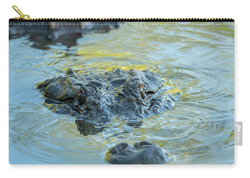 Alligator Zip Pouch featuring the photograph Blue and Gold Alligator by Carolyn Hutchins