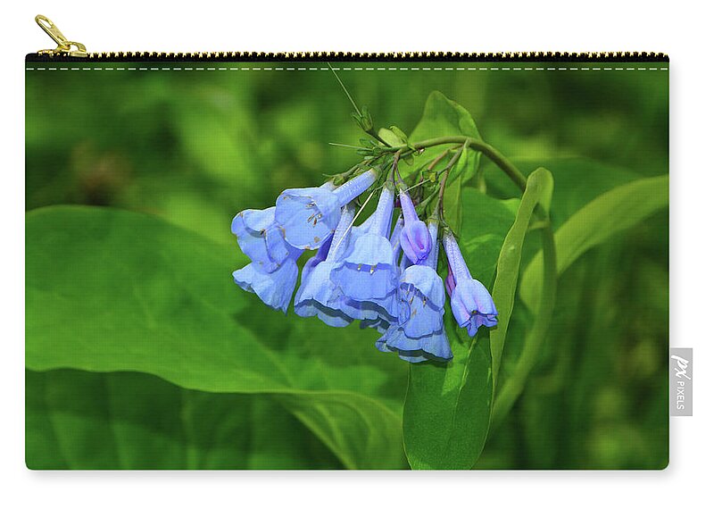 Blue Bells In Maryland Zip Pouch featuring the photograph Blue Bells in Maryland by Raymond Salani III