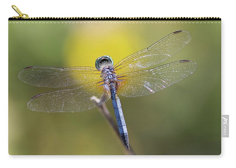 Dragonfly Zip Pouch featuring the photograph Blue Dasher Spotlight by Paul Rebmann