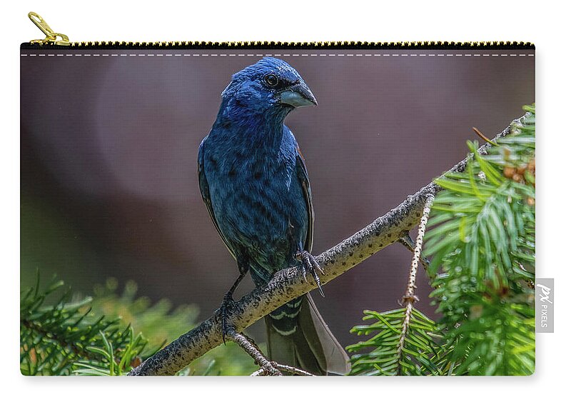 Bird Carry-all Pouch featuring the photograph Blue Grosbeak by Cathy Kovarik