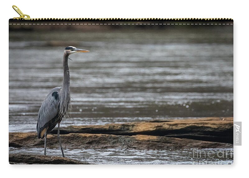 Heron Carry-all Pouch featuring the photograph Blue Heron by Doug Sturgess
