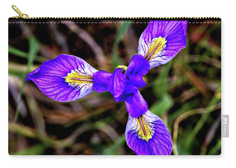 Flower Zip Pouch featuring the photograph Blue Iris by Bob Falcone