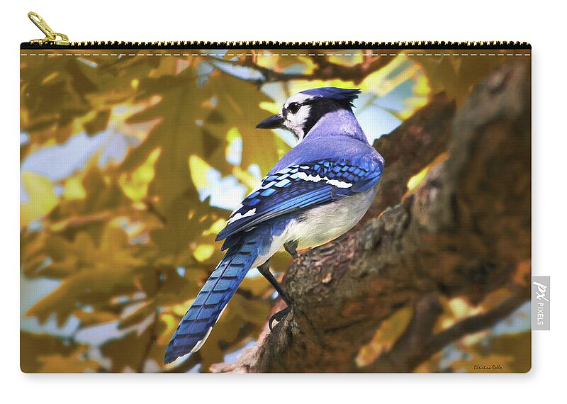 Bird Zip Pouch featuring the photograph Blue Jay by Christina Rollo