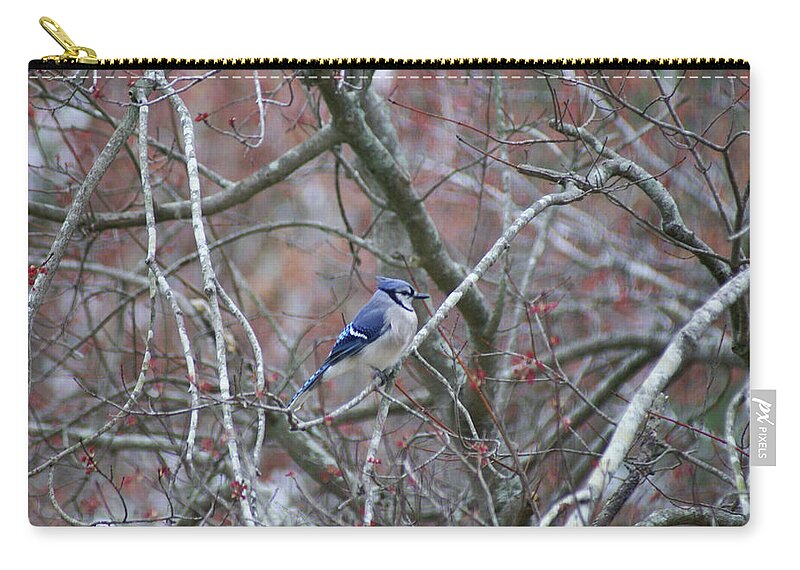 Carry-all Pouch featuring the photograph Blue Jay by Heather E Harman