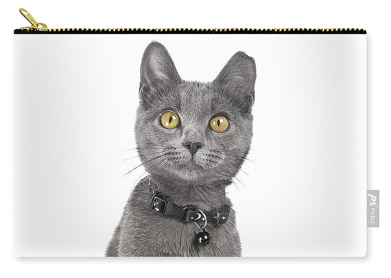 Cat Zip Pouch featuring the photograph Blue Kitty Kat Joy by Renee Spade Photography