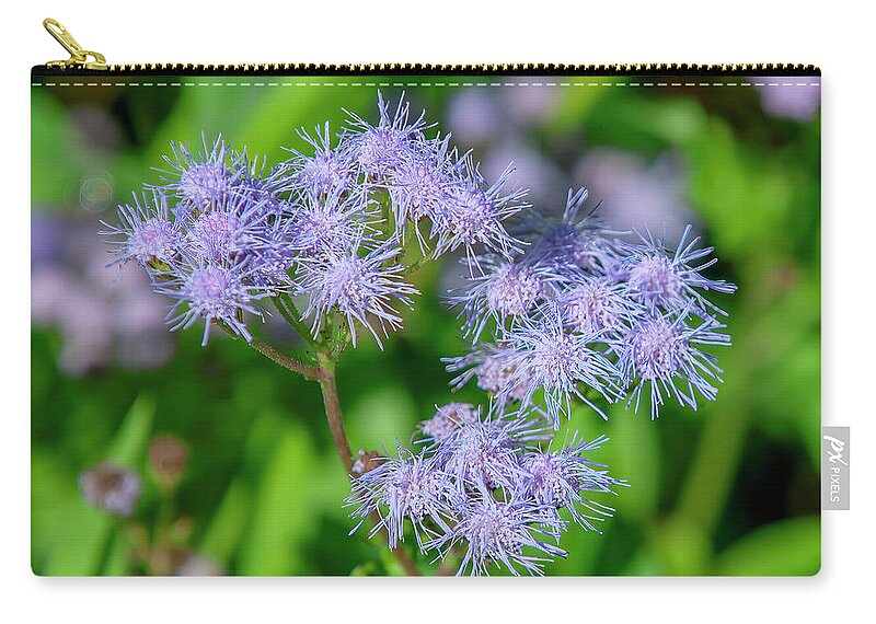 Aster Family Zip Pouch featuring the photograph Blue Mistflower DFL1215 by Gerry Gantt