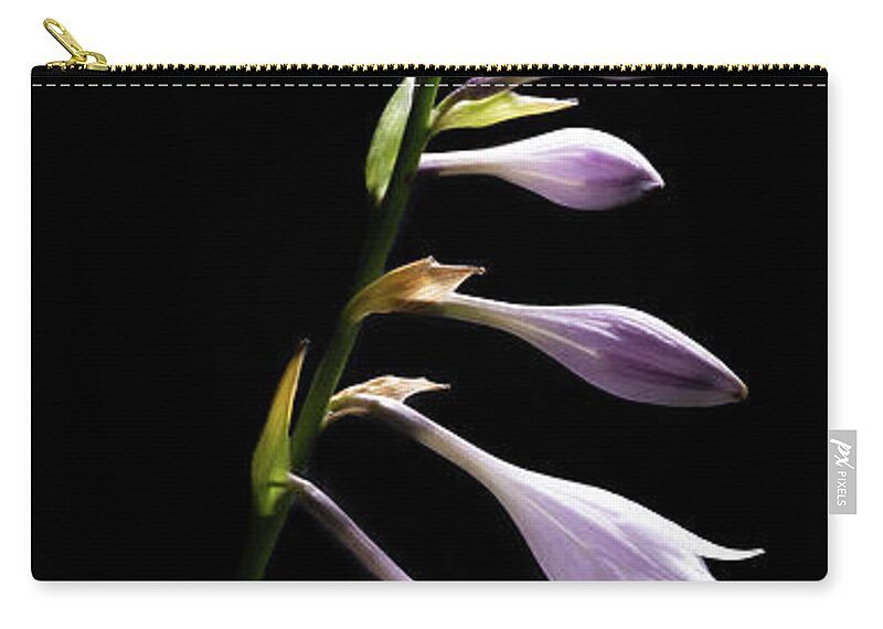Blue Plantain Lily Carry-all Pouch featuring the photograph Blue Plantain Lily by Kevin Suttlehan