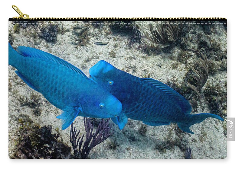 Animals Carry-all Pouch featuring the photograph Blue Two by Lynne Browne