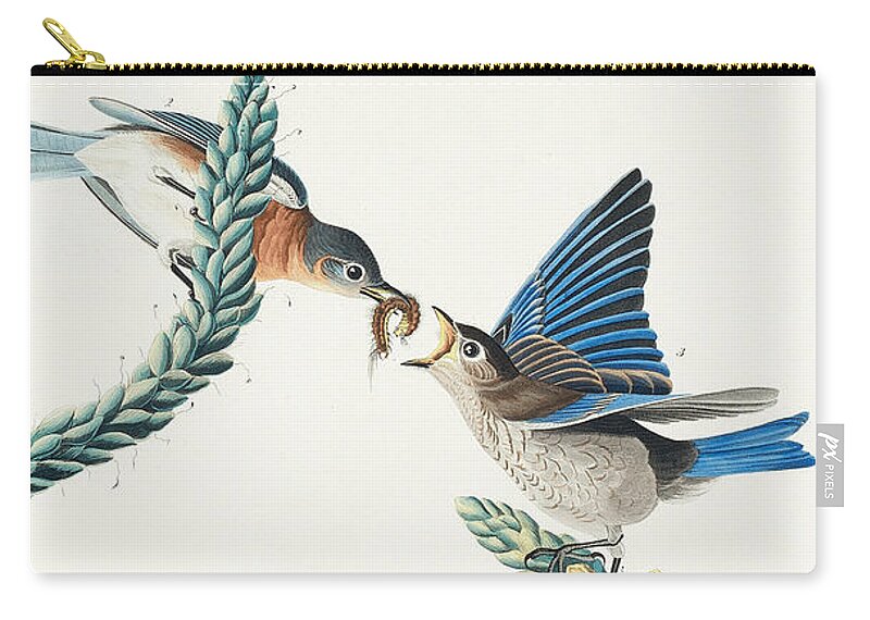 Bluebird Zip Pouch featuring the mixed media Bluebird. John James Audubon by World Art Collective