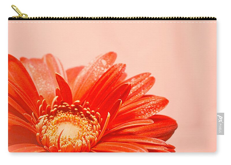 Flowers Zip Pouch featuring the photograph Blush by Ella Kaye Dickey