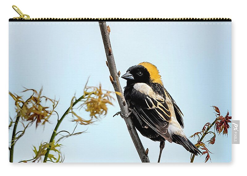Birds Zip Pouch featuring the photograph Bobolink by Al Mueller