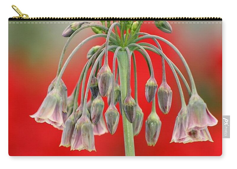 Flowers Zip Pouch featuring the photograph Bokeh Bloom by Kimberly Furey