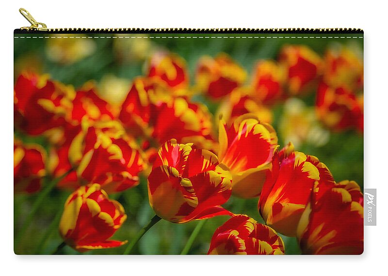 Red Zip Pouch featuring the photograph Bold by Linda Bonaccorsi