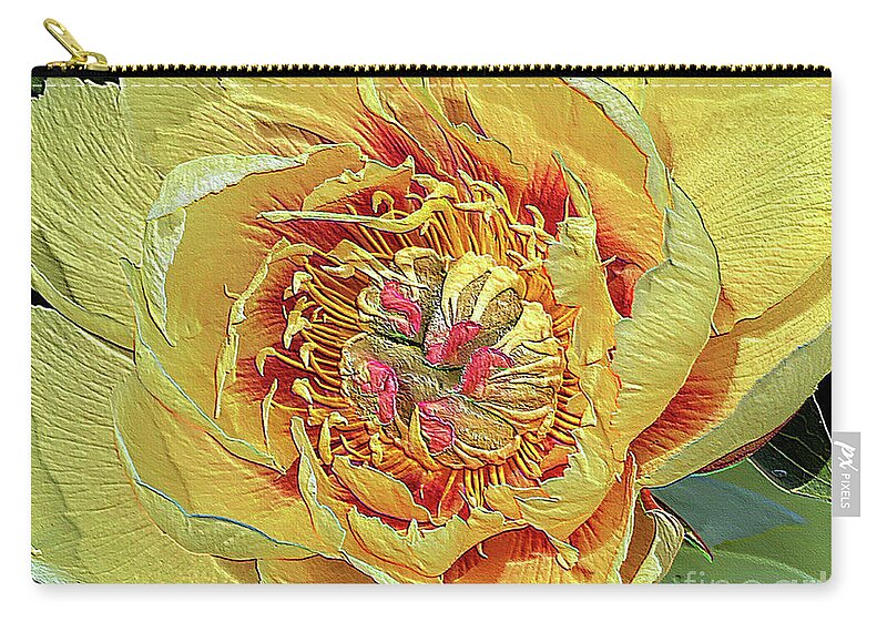 Border Charm Peony Zip Pouch featuring the photograph Border Charm Peony by Jeanette French