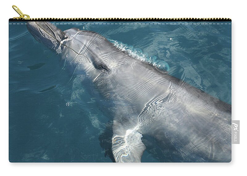 Animals Zip Pouch featuring the photograph Bottlenose Dolphin riding on the Bow Wave by Maryse Jansen