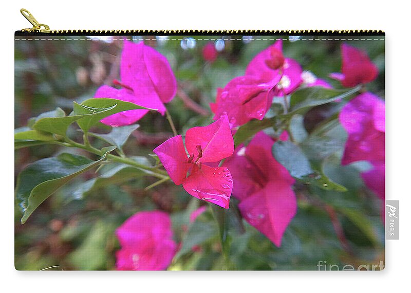 Bougainvillea Zip Pouch featuring the photograph Bougainvillea Near Sunset by Rohvannyn Shaw