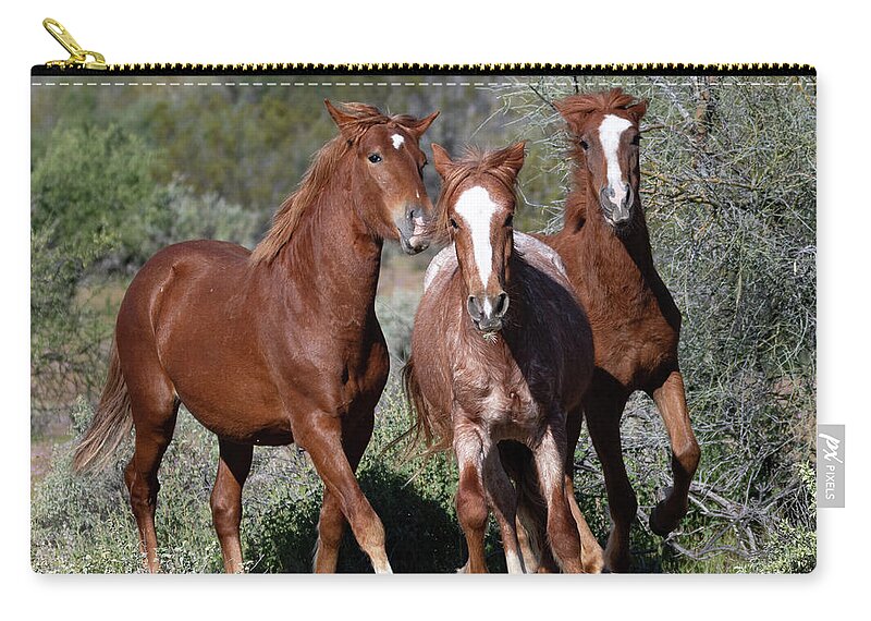 Wild Horses Zip Pouch featuring the photograph Boy band by Mary Hone