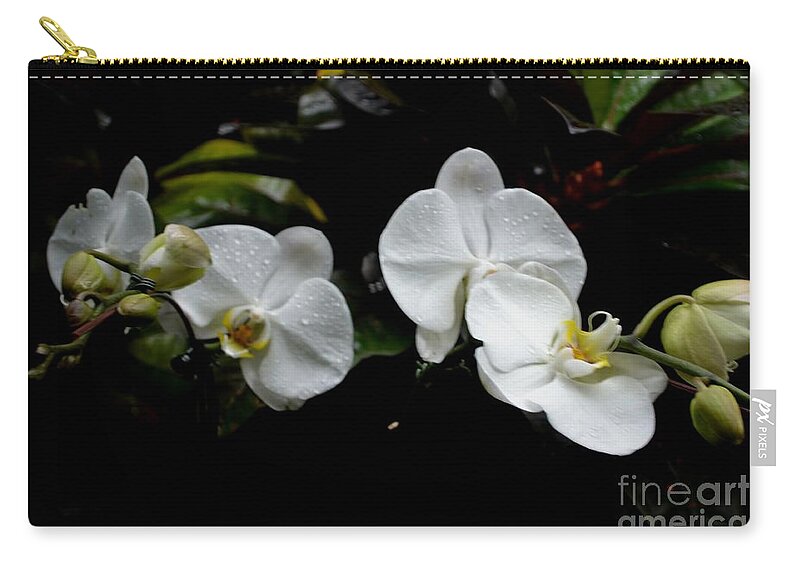 White Phalaenopsis Orchid Photograph Zip Pouch featuring the photograph Branch of White Orchids by Expressions By Stephanie