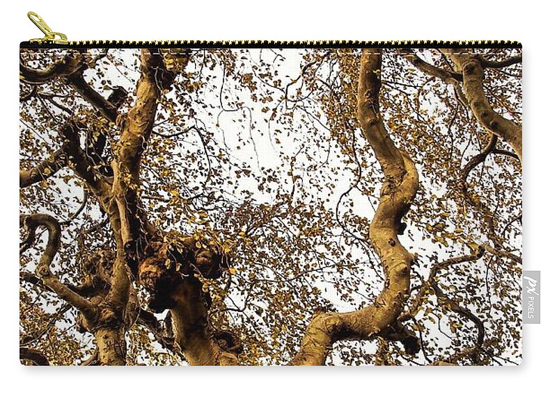 Tree Branch Sky Leaves Zip Pouch featuring the photograph Branch Sky by John Linnemeyer