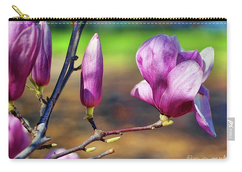 Diana Zip Pouch featuring the photograph Brand New by Diana Mary Sharpton