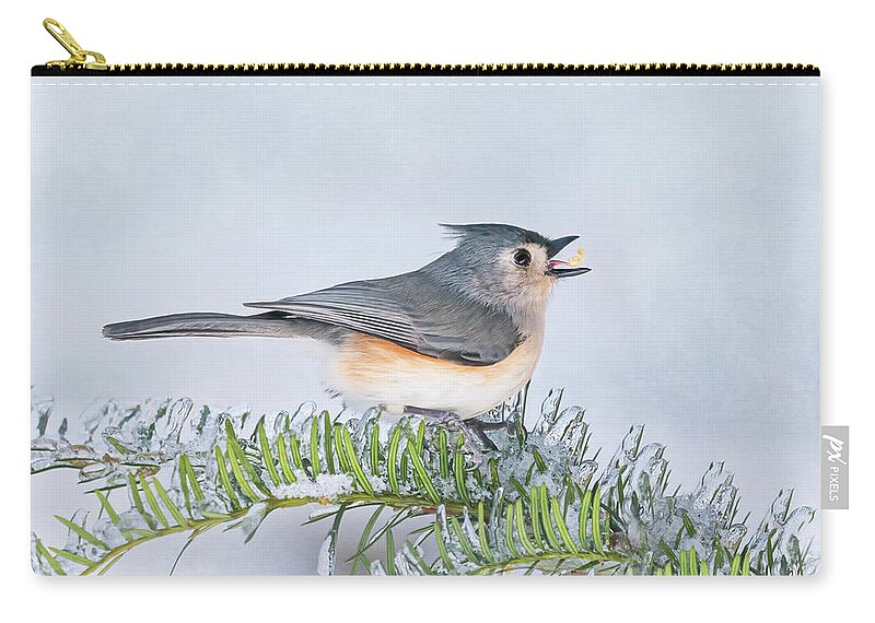 Bird Zip Pouch featuring the photograph Breakfast of Champions by Peg Runyan