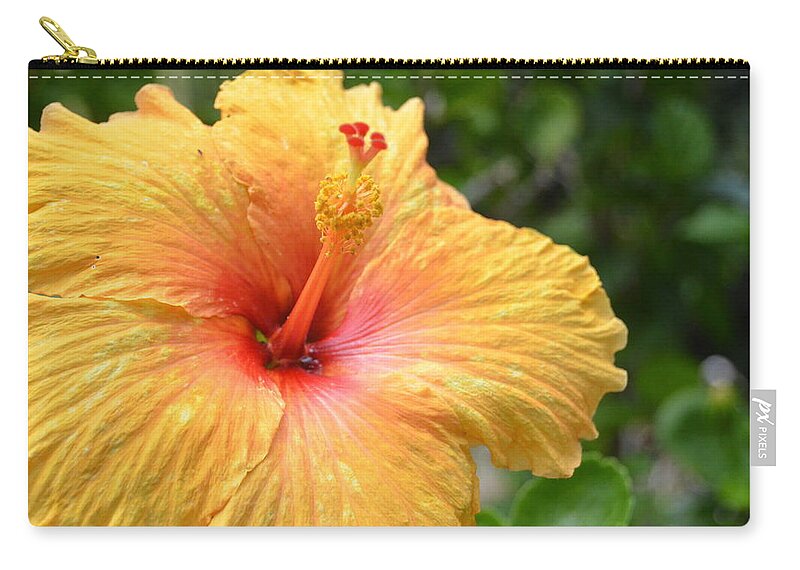 Flower Zip Pouch featuring the photograph Bright Yellow Red Hibscus by Amy Fose