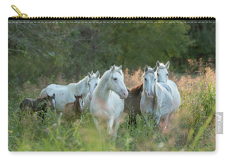 Broadfoot Carry-all Pouch featuring the photograph Broadfoot at Sunset by Holly Ross