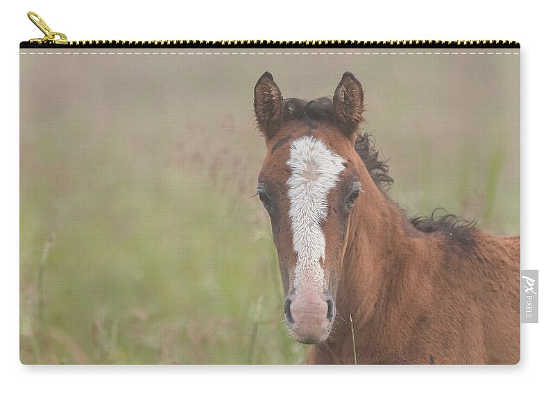 Wild Horse Carry-all Pouch featuring the photograph Broadfoot Colt by Holly Ross