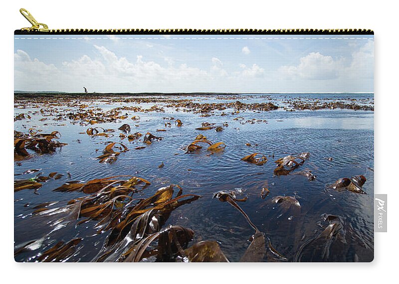 Antioxidants Zip Pouch featuring the photograph Brown algaes dancing at low tide by Jean-Luc Farges