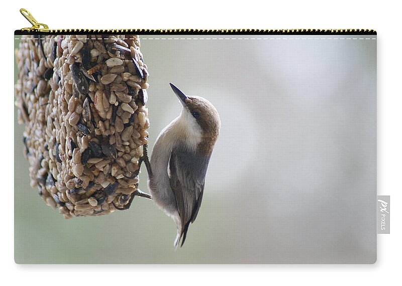 Bird Carry-all Pouch featuring the photograph Brown-headed Nuthatch by Heather E Harman