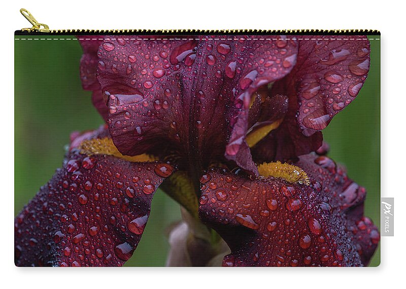 Astoria Zip Pouch featuring the photograph Brown Iris in Rain by Robert Potts