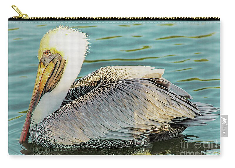 Pelican Zip Pouch featuring the photograph Brown Pelican has Eyes on You by Joanne Carey