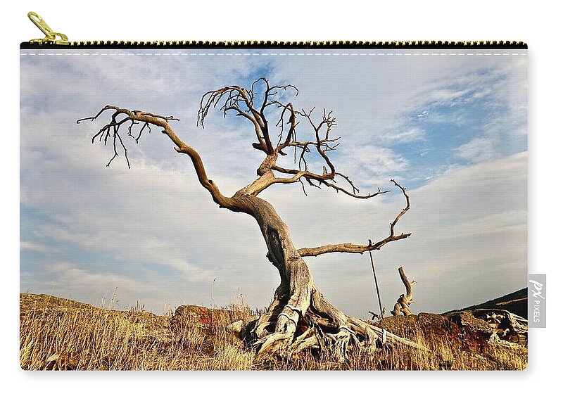 Brackets On The Roots And A Steel Rod Hold Up The Remnants Of An Ancient Tree Near Crowsnest Pass Zip Pouch featuring the photograph Burmis Tree from the West by Brian Sereda