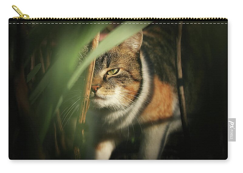 Liza Carry-all Pouch featuring the photograph Cruel look by domestic kitten walks through dense jungle by Vaclav Sonnek