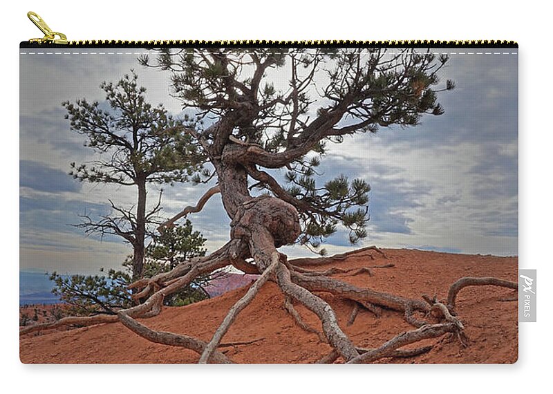 Bryce Canyon National Park Carry-all Pouch featuring the photograph Bryce Canyon National Park - Fighting to Stay Rooted by Yvonne Jasinski
