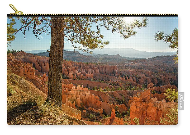Utah Zip Pouch featuring the photograph Bryce Canyon Tree by Aaron Spong